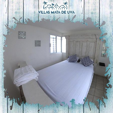 Villas Mata De Uva Alvarado ภายนอก รูปภาพ