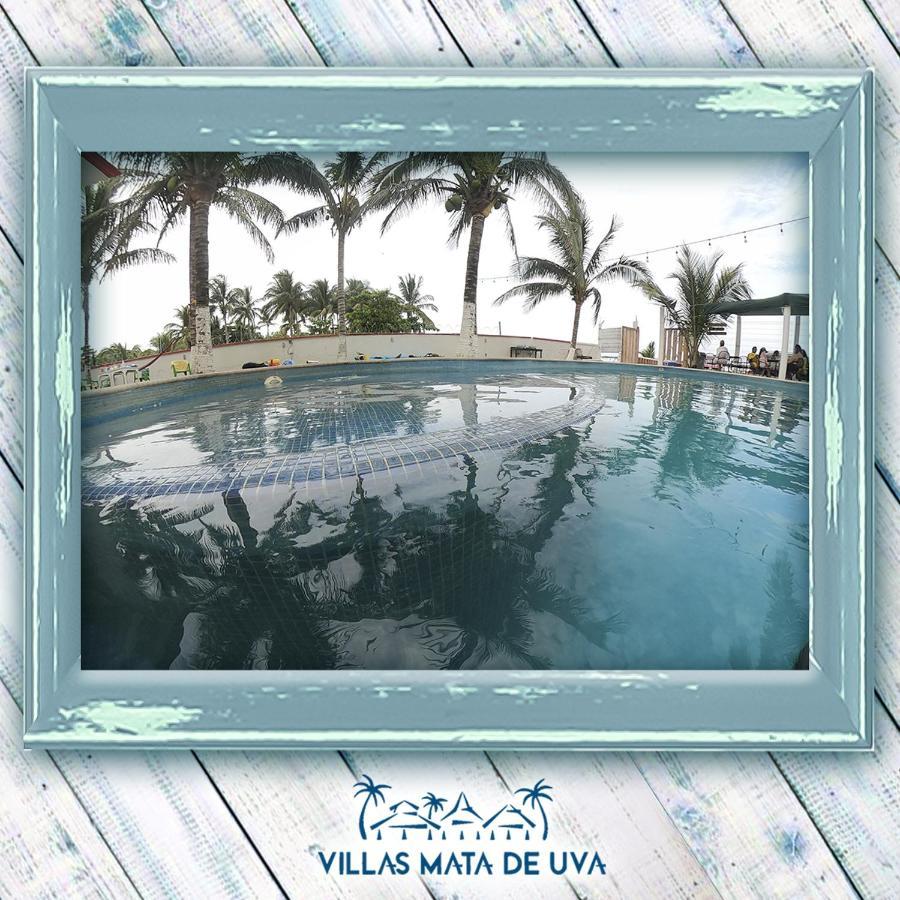 Villas Mata De Uva Alvarado ภายนอก รูปภาพ